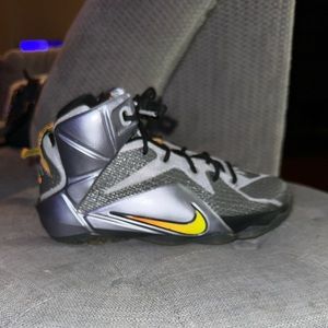 Nike Kids/Gradeschool Lebron 12 Chrome/Black Size 5